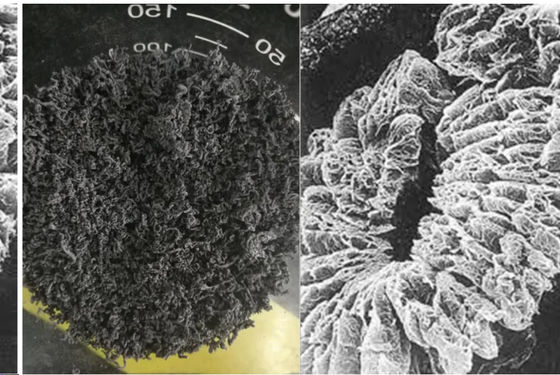 Grafite in espansione naturale di Mesh High Carbon 98% della maglia +100 del produttore +80 della Cina utilizzata in macchinario