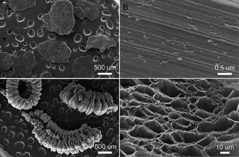 Polvere di grafite espandibile ad alto tenore di carbonio come ritardante dell'infiammazione