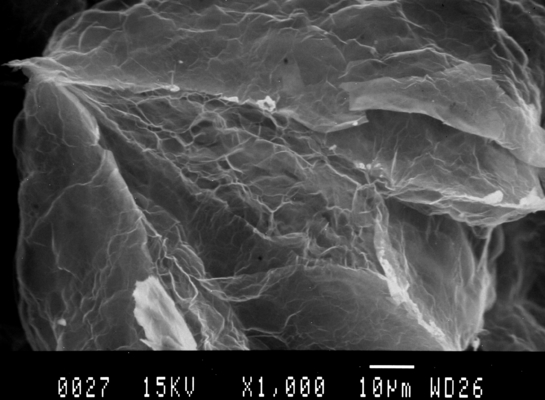 9950200 Polvere di fiocchi di grafite espandibile con eccellente ritardanza delle fiamme