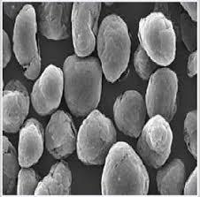 Materiale anodico in grafite di alta qualità per batterie agli ioni di litio
